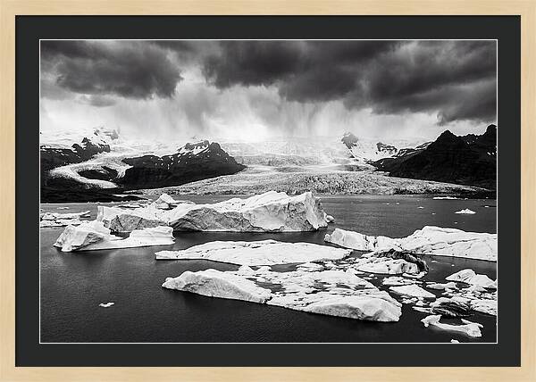 Glacier Bay Fjord Serenity
