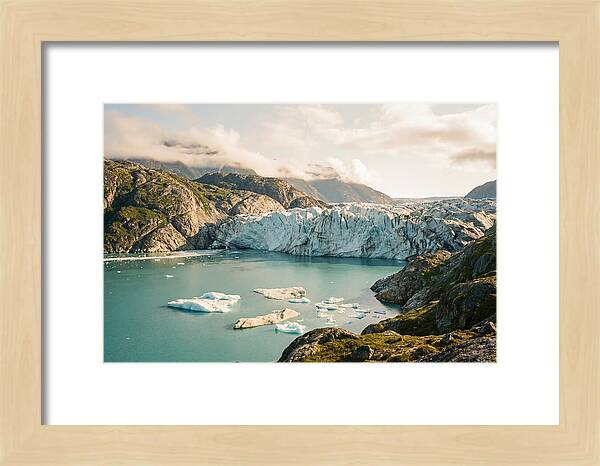 Glacier Bay Fjord Vista