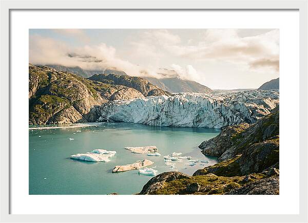 Glacier Bay Fjord Vista