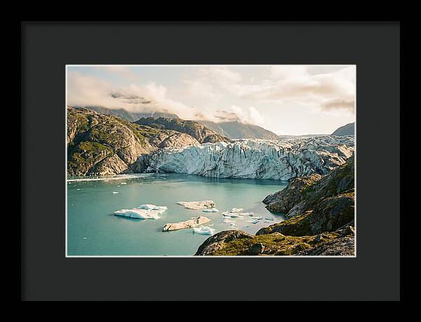Glacier Bay Fjord Vista