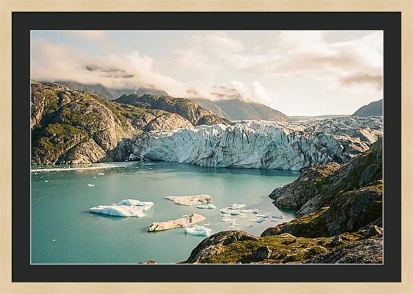 Glacier Bay Fjord Vista