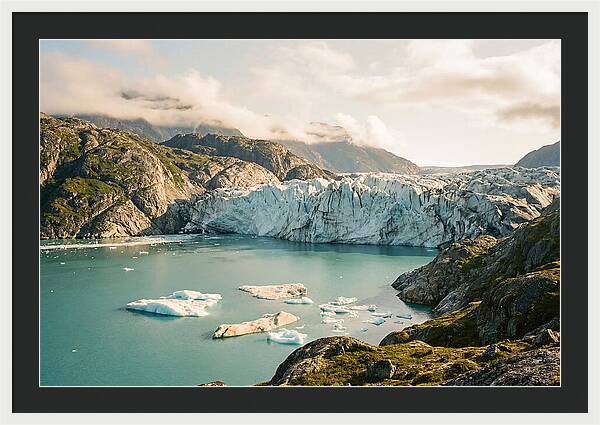 Glacier Bay Fjord Vista