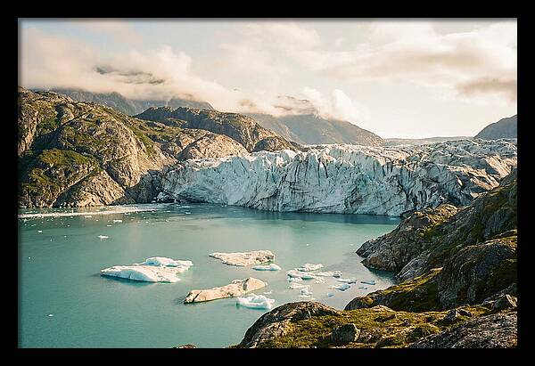 Glacier Bay Fjord Vista