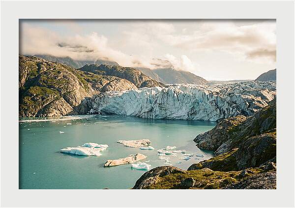 Glacier Bay Fjord Vista