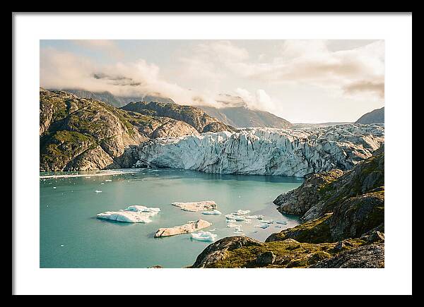 Glacier Bay Fjord Vista