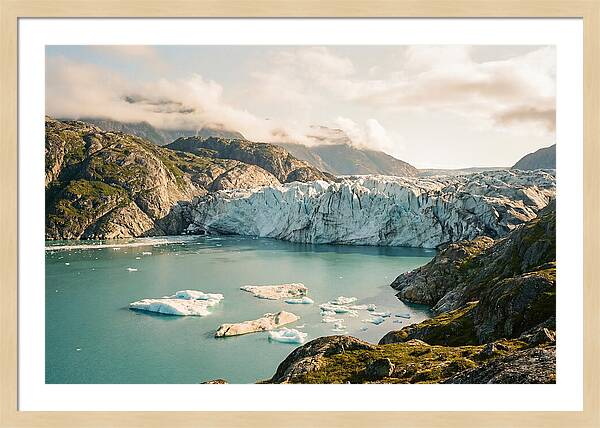 Glacier Bay Fjord Vista