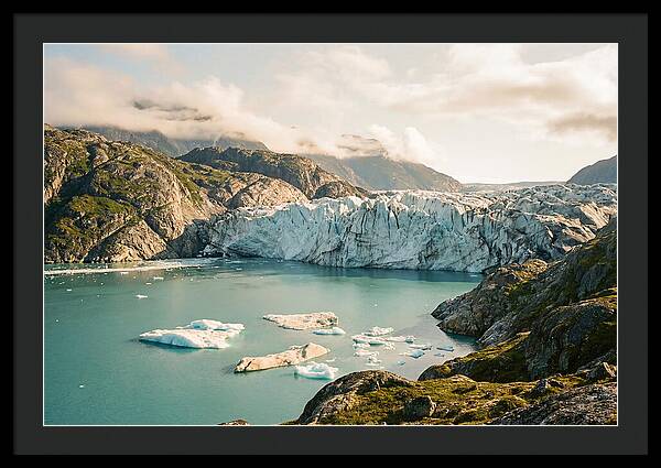 Glacier Bay Fjord Vista