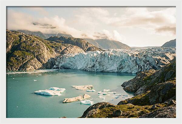 Glacier Bay Fjord Vista