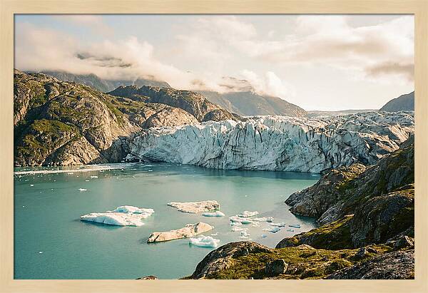 Glacier Bay Fjord Vista