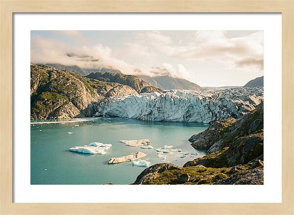 Glacier Bay Fjord Vista
