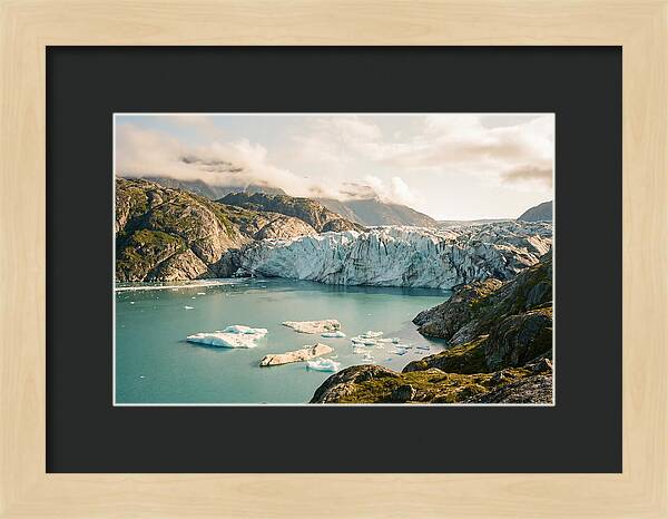 Glacier Bay Fjord Vista