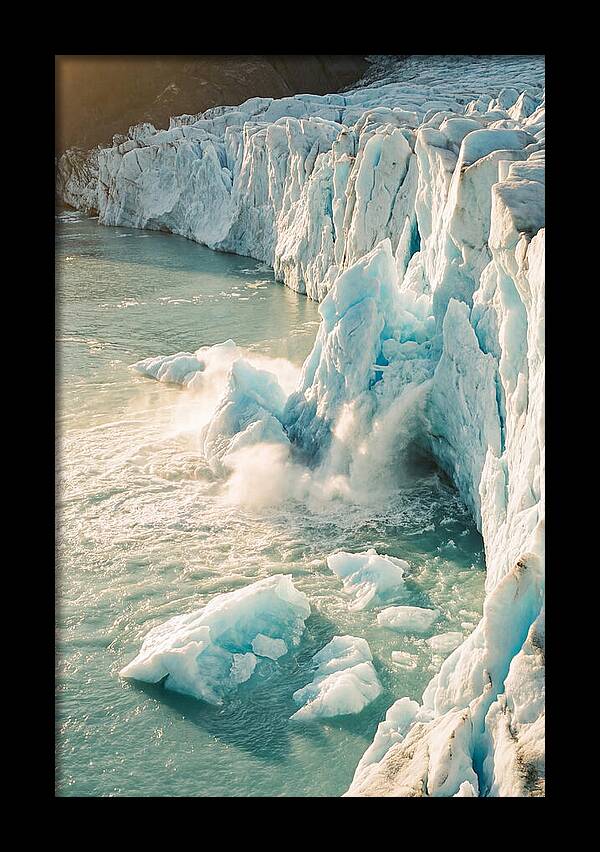 Glacier Bay Ice Luminescence