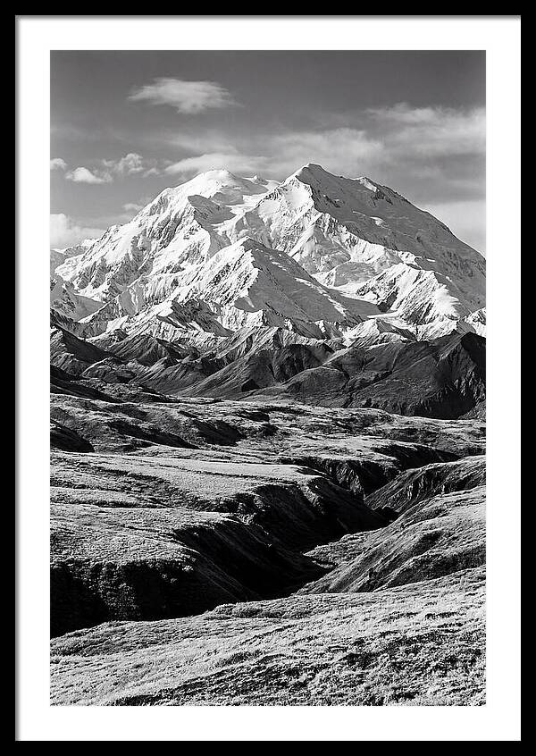 Glacier Bay Art