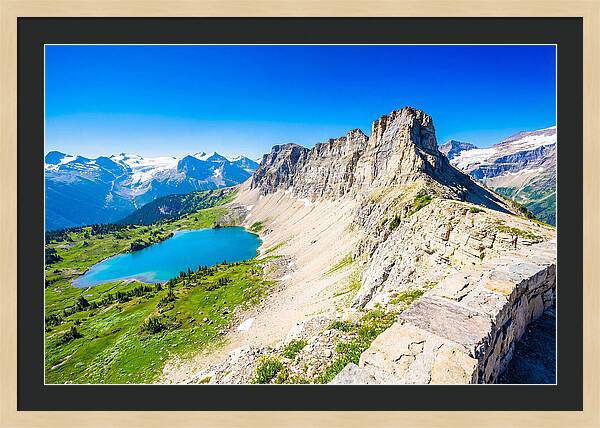 Glacier National Park Garden View