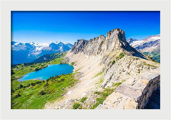 Glacier National Park Garden View