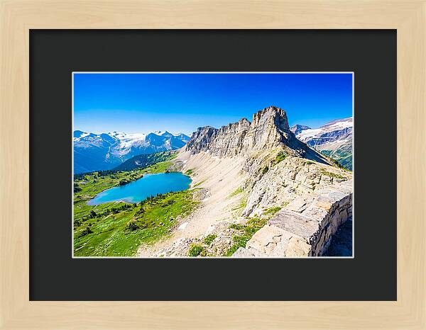 Glacier National Park Garden View