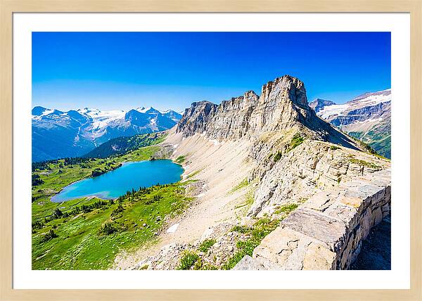 Glacier National Park Garden View