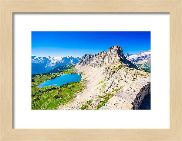 Glacier National Park Garden View