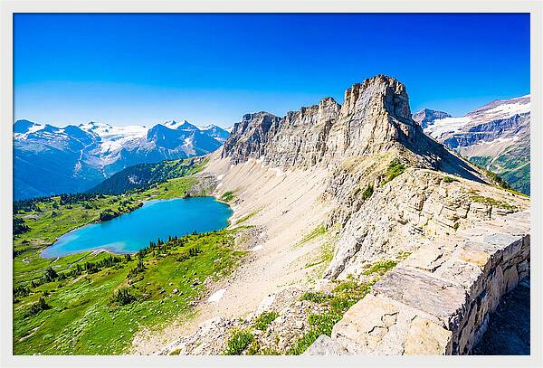Glacier National Park Garden View