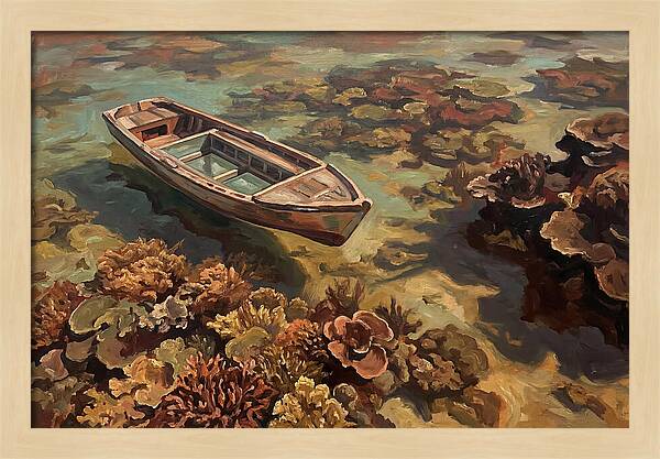 Glass Bottom Boat Over Coral Reef