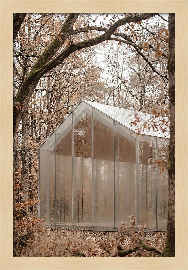 Glass Chapel Amidst Nature