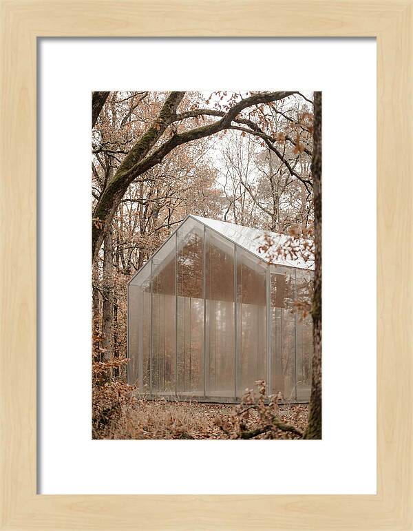 Glass Chapel Amidst Nature