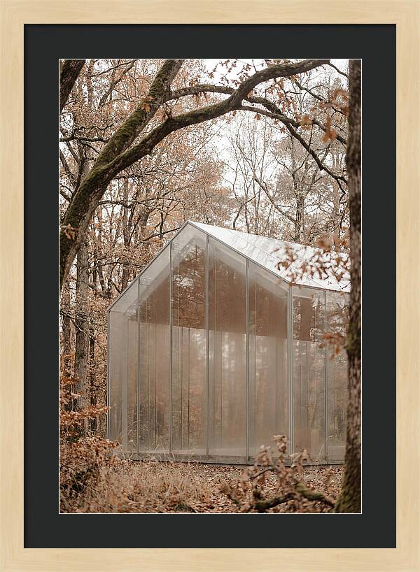 Glass Chapel Amidst Nature