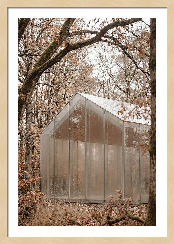 Glass Chapel Amidst Nature