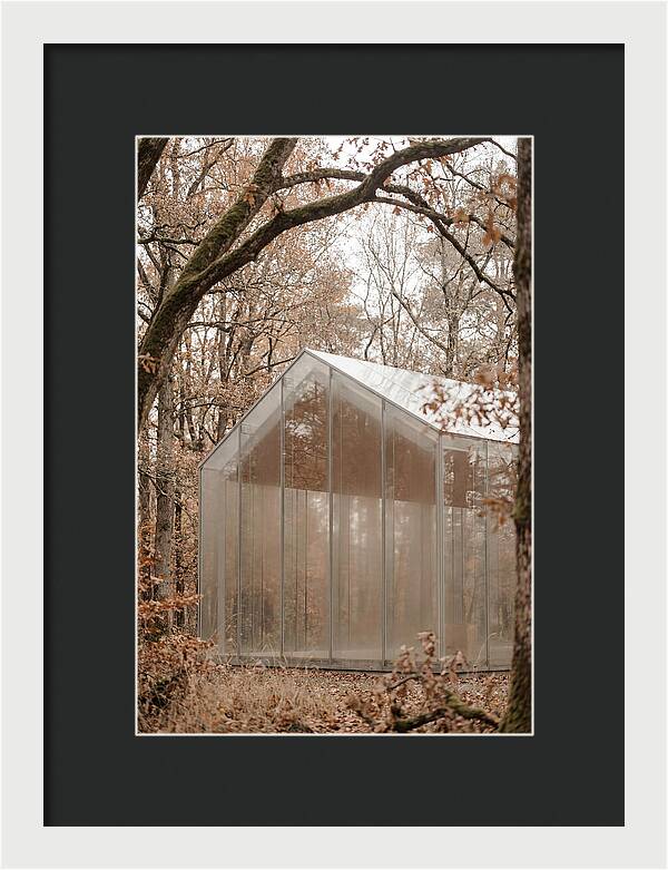 Glass Chapel Amidst Nature