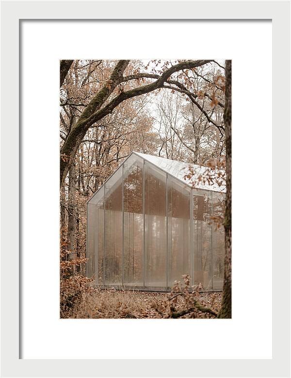 Glass Chapel Amidst Nature