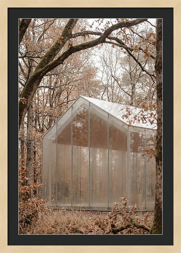 Glass Chapel Amidst Nature