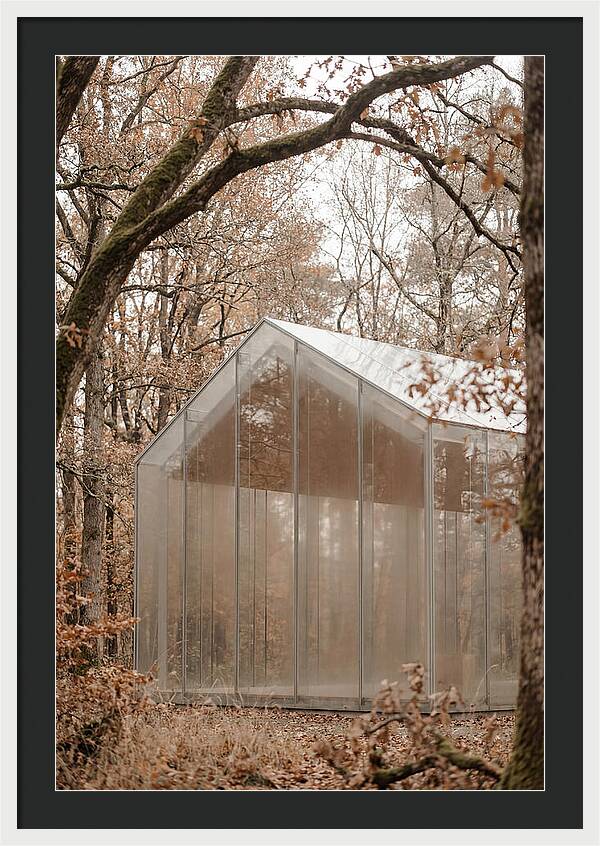 Glass Chapel Amidst Nature