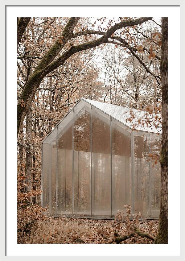 Glass Chapel Amidst Nature