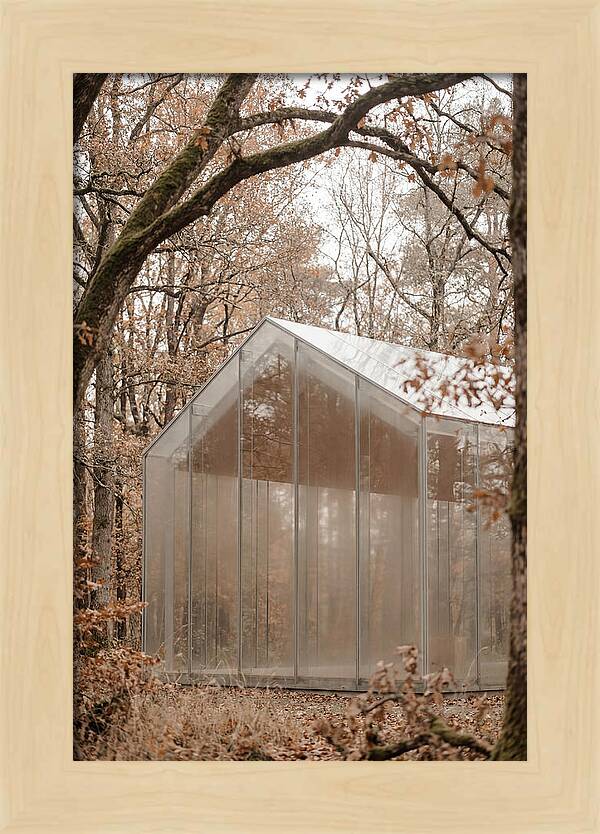 Glass Chapel Amidst Nature