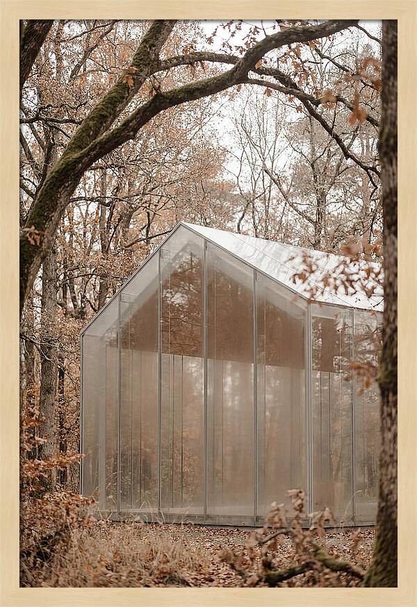 Glass Chapel Amidst Nature