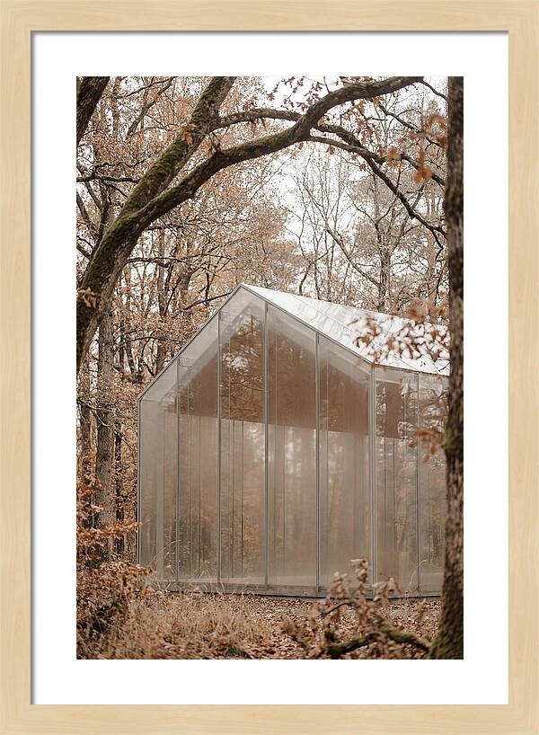 Glass Chapel Amidst Nature