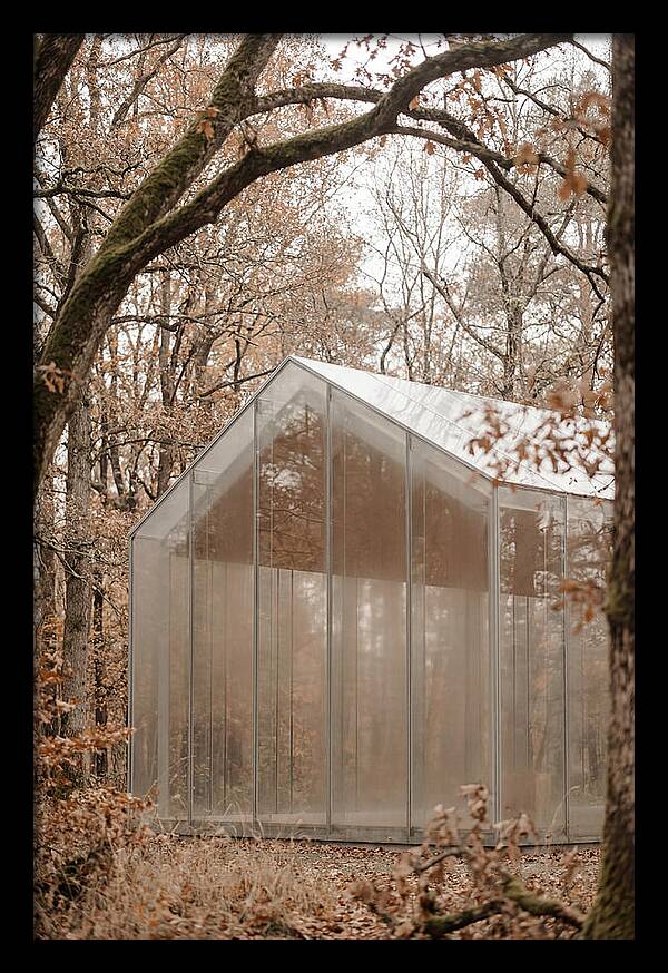 Glass Chapel Amidst Nature