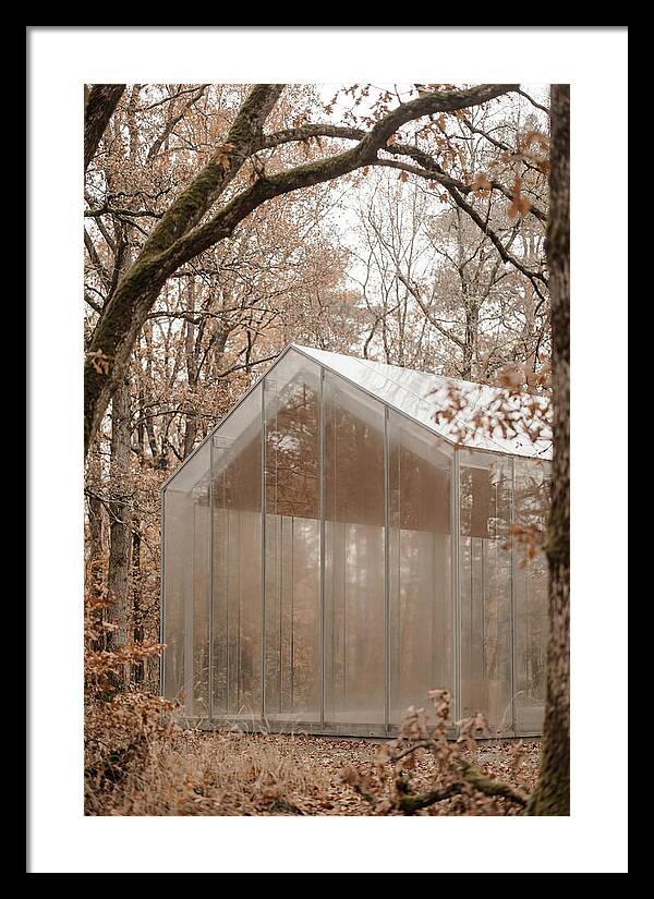Glass Chapel Amidst Nature