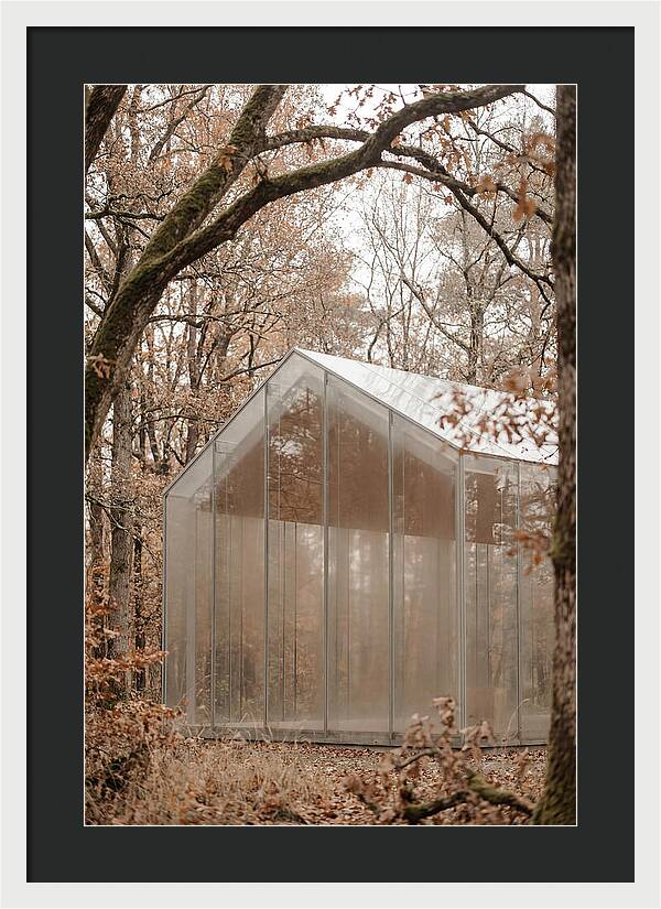 Glass Chapel Amidst Nature