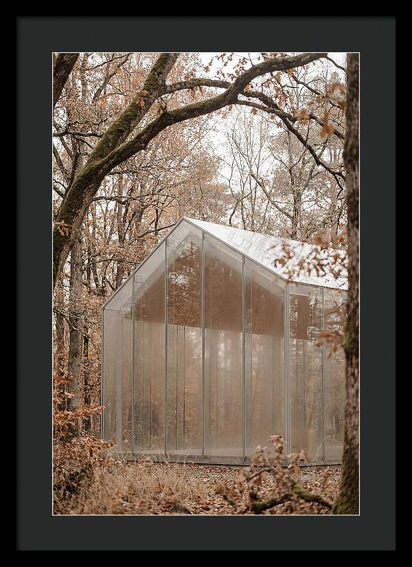 Glass Chapel Amidst Nature