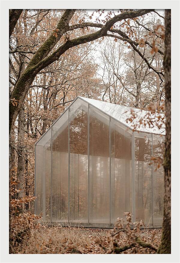 Glass Chapel Amidst Nature