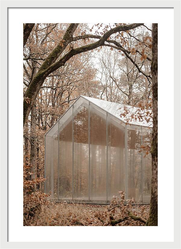 Glass Chapel Amidst Nature