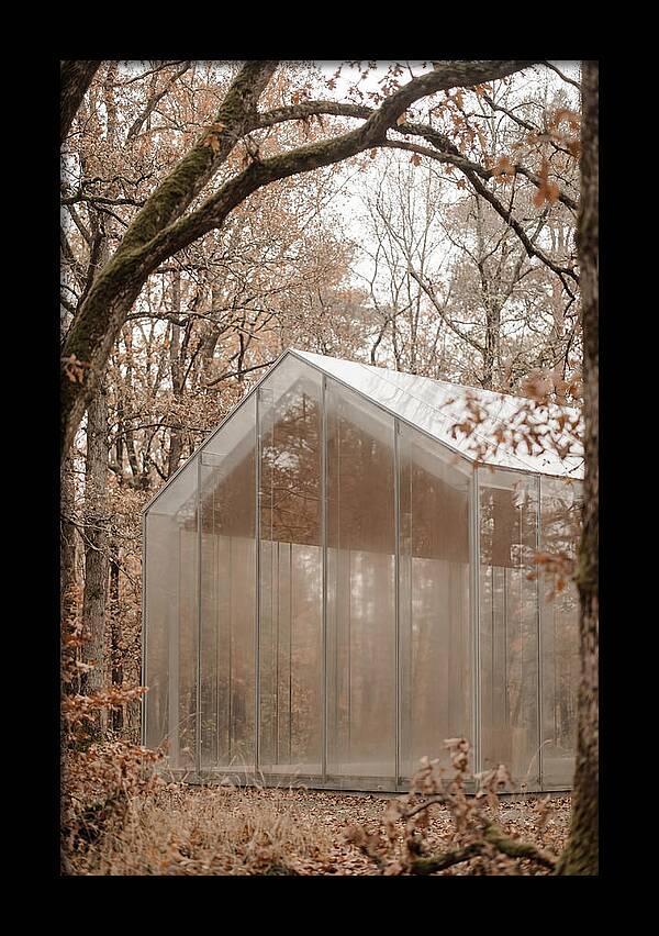 Glass Chapel Amidst Nature