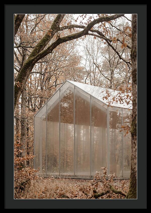Glass Chapel Amidst Nature