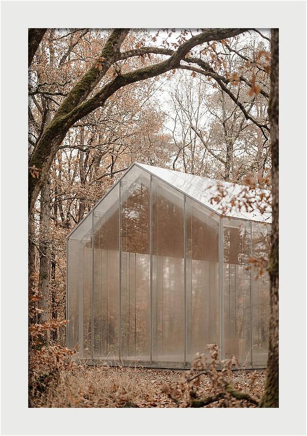 Glass Chapel Amidst Nature