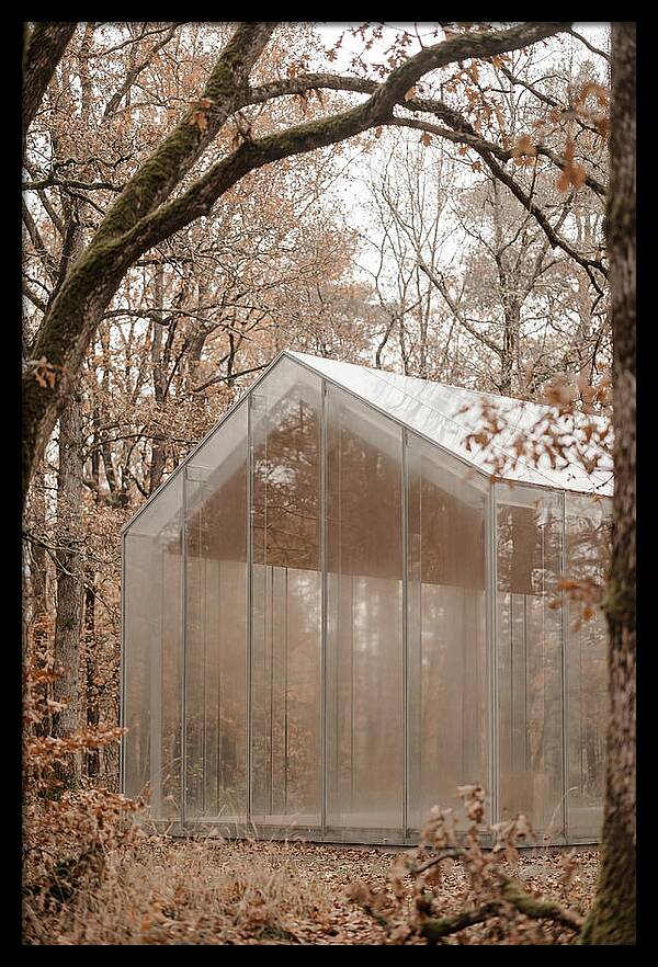 Glass Chapel Amidst Nature