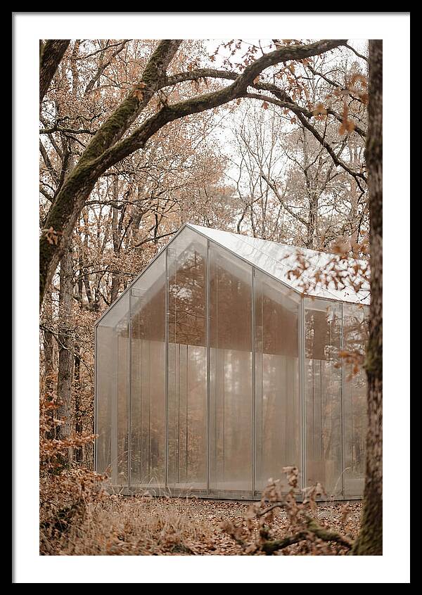 Glass Chapel Amidst Nature