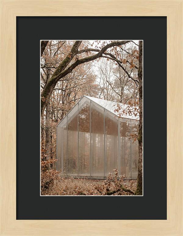 Glass Chapel Amidst Nature