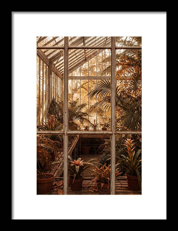 Glass Conservatory Oasis