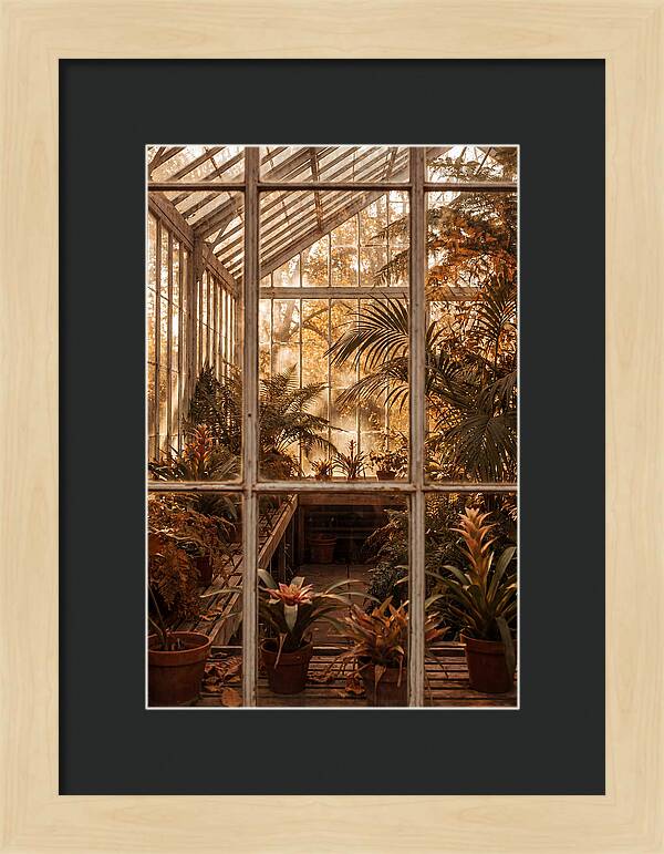 Glass Conservatory Oasis